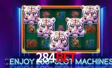284BET Logo - Bônus de Cadastro